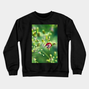 Ladybug on green Crewneck Sweatshirt